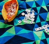 PacMat XL Waterproof Picnic Mat