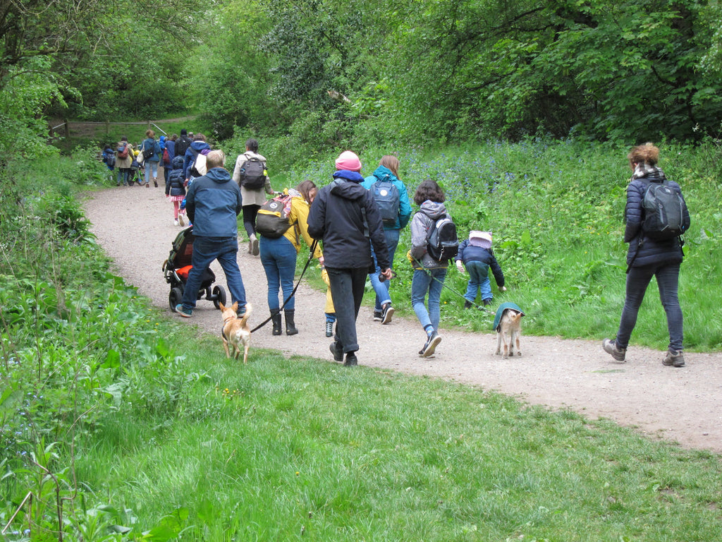 Family Wild Walk - Clapton Common to Walthamstow Marshes (Sat 13th February)