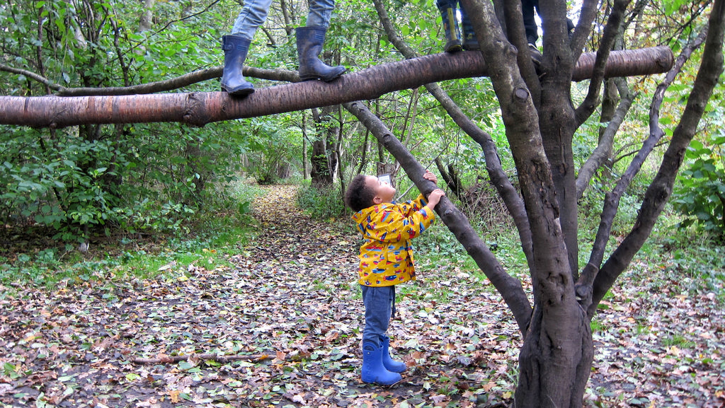 Spooky Wild Walk in Wick Woods!