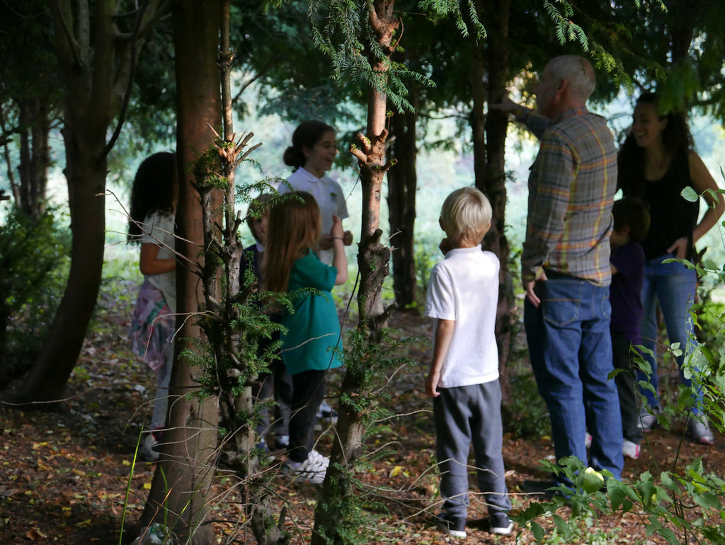 Family Wild Walk - Clapton Square to Homerton Grove Adventure Playground (10th October))