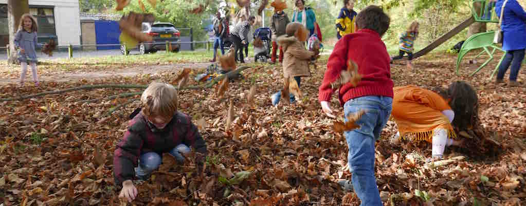 Half Term, Autumn Leaves & Wild Walks