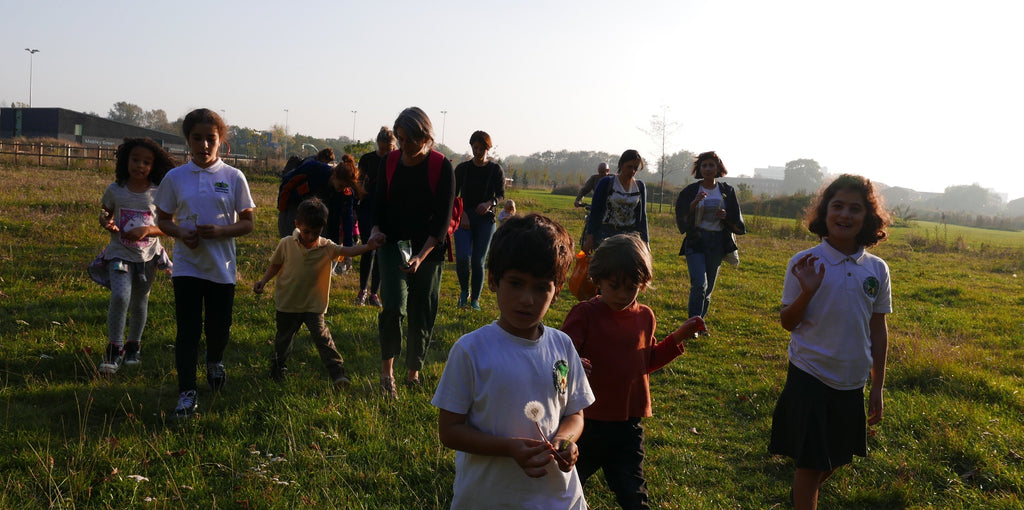 Become a Wild Walk Leader!