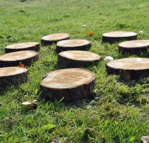 Natural Stepping Stones