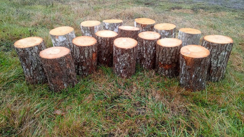 Ampitheatre Seating Set